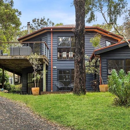 Vila Yirrip House Nestled On The Edge Of National Park Aireys Inlet Exteriér fotografie